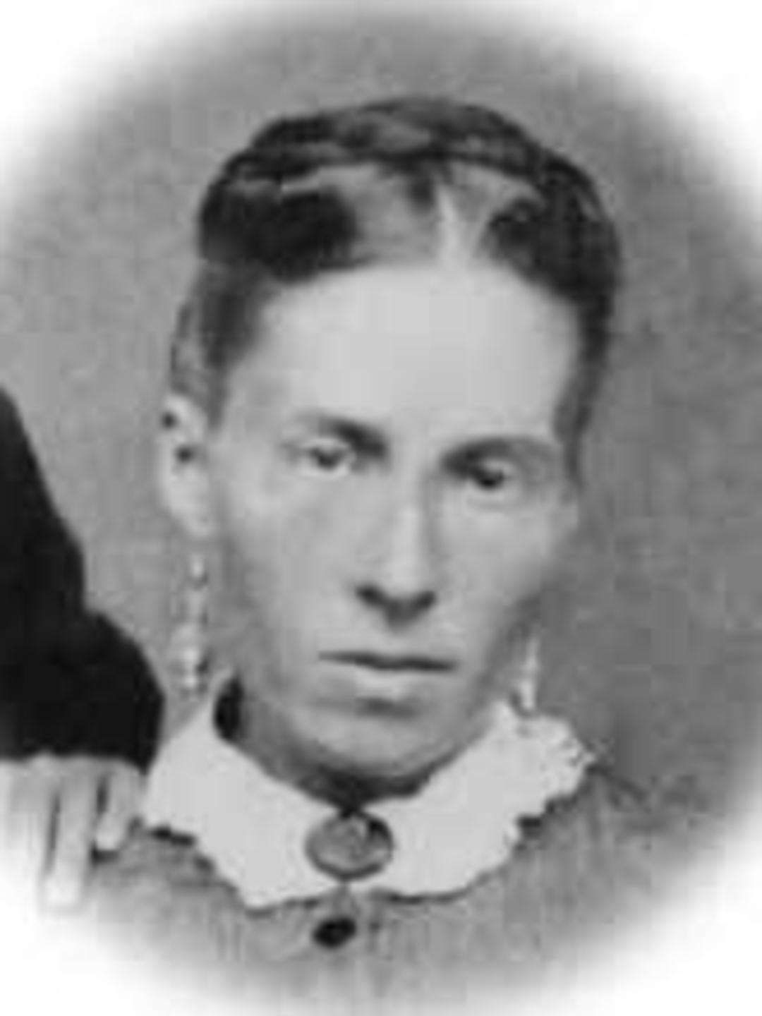 Elizabeth Amanda Melvina Draper (1848 - 1906) Profile